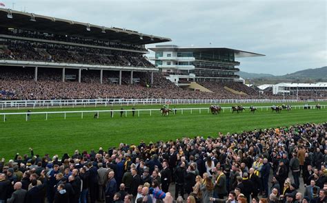 Cheltenham Festival 2019 Offers .